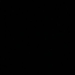 Meet your Posher, Terry